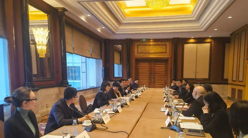 卢国懿出席致公党中央与侨海人士座谈会