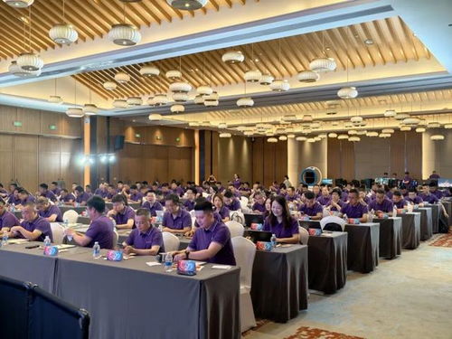 巳海昇屏,e立潮头 2025年aoc显示器全国操盘手大会隆重召开