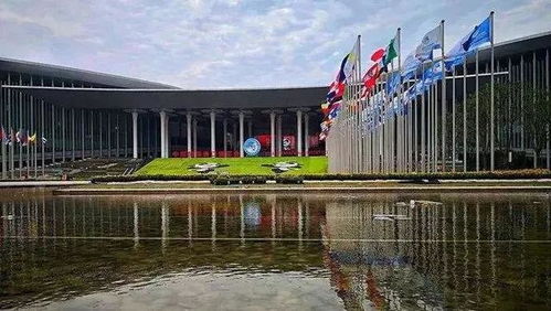 与世界共享农业未来 世界农产品点亮中国进博会